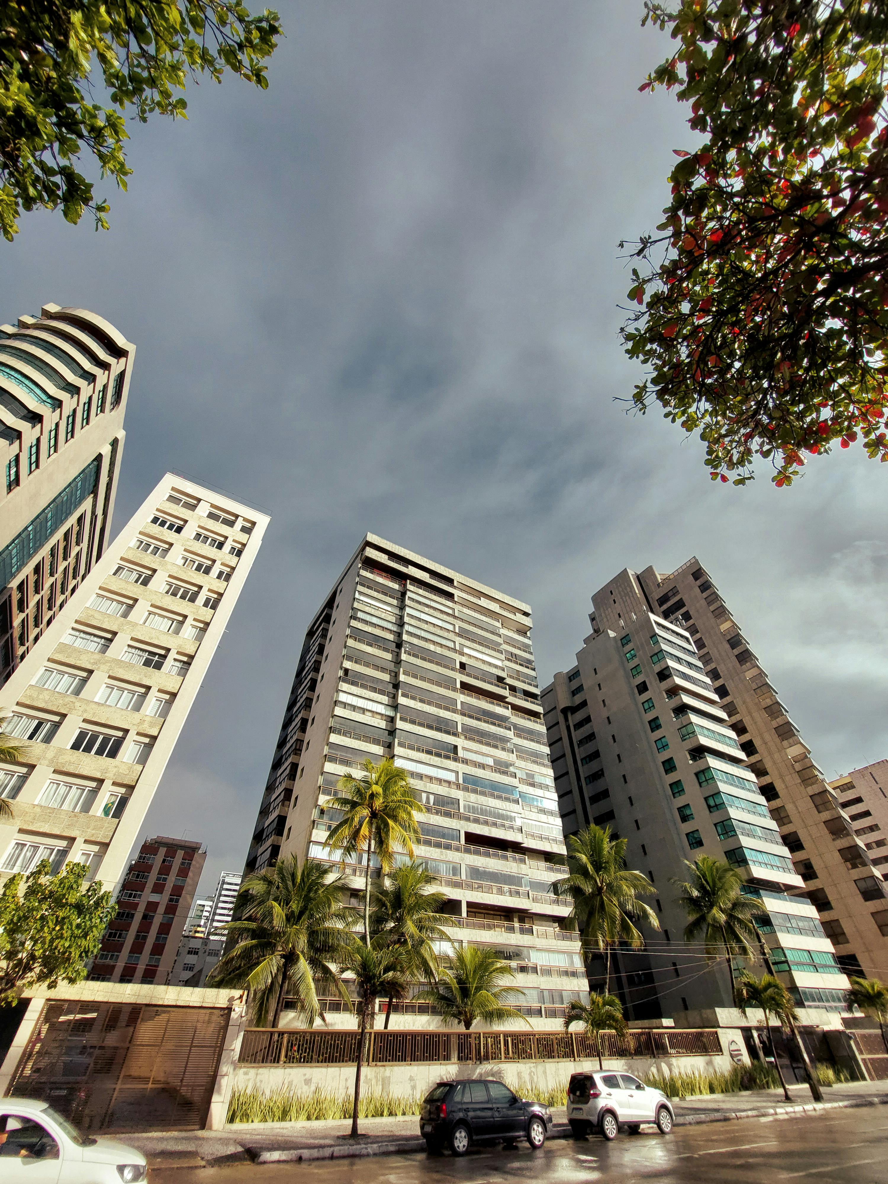 Stunning low angle view of modern skyscrapers against a cloudy sky with palm trees in Recife, Brazil.