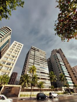 Stunning low angle view of modern skyscrapers against a cloudy sky with palm trees in Recife, Brazil.