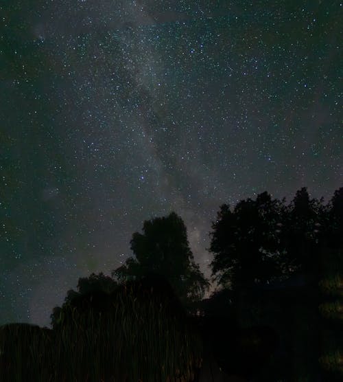 ağaçlar, astronomi, dikey atış içeren Ücretsiz stok fotoğraf