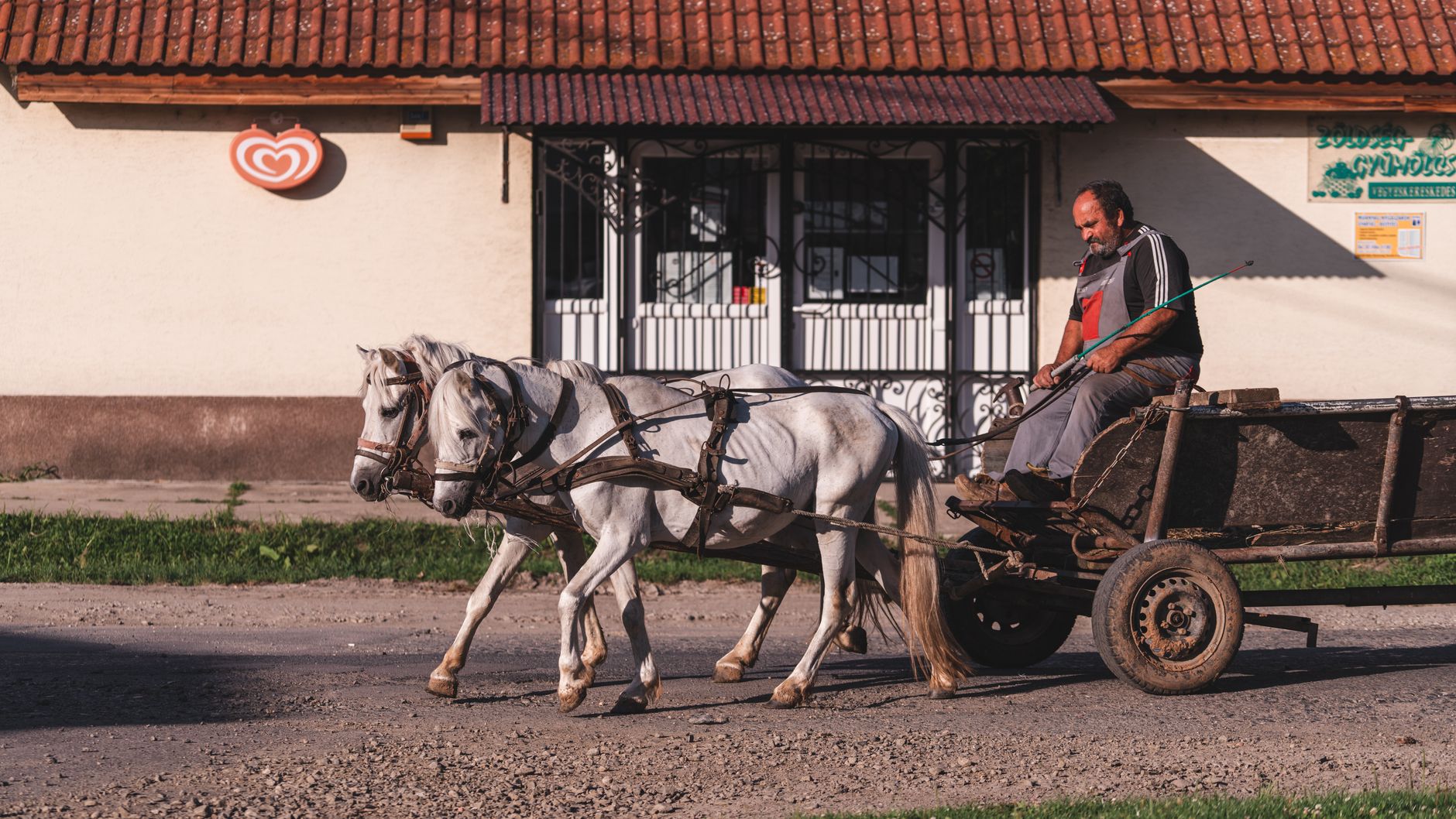 Melkboer met paard en wagen