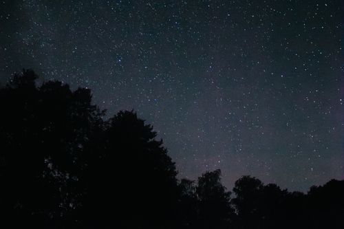 Free A breathtaking view of a starry night sky with tree silhouettes, perfect for nature themes. Stock Photo