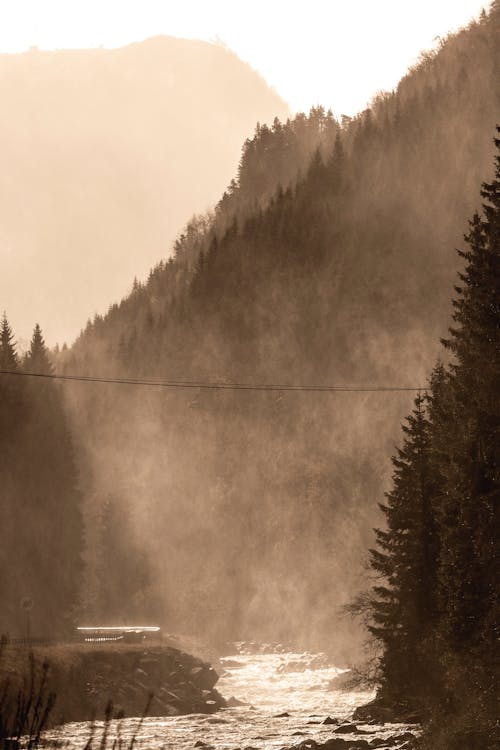 River Flowing through a Foggy Valley