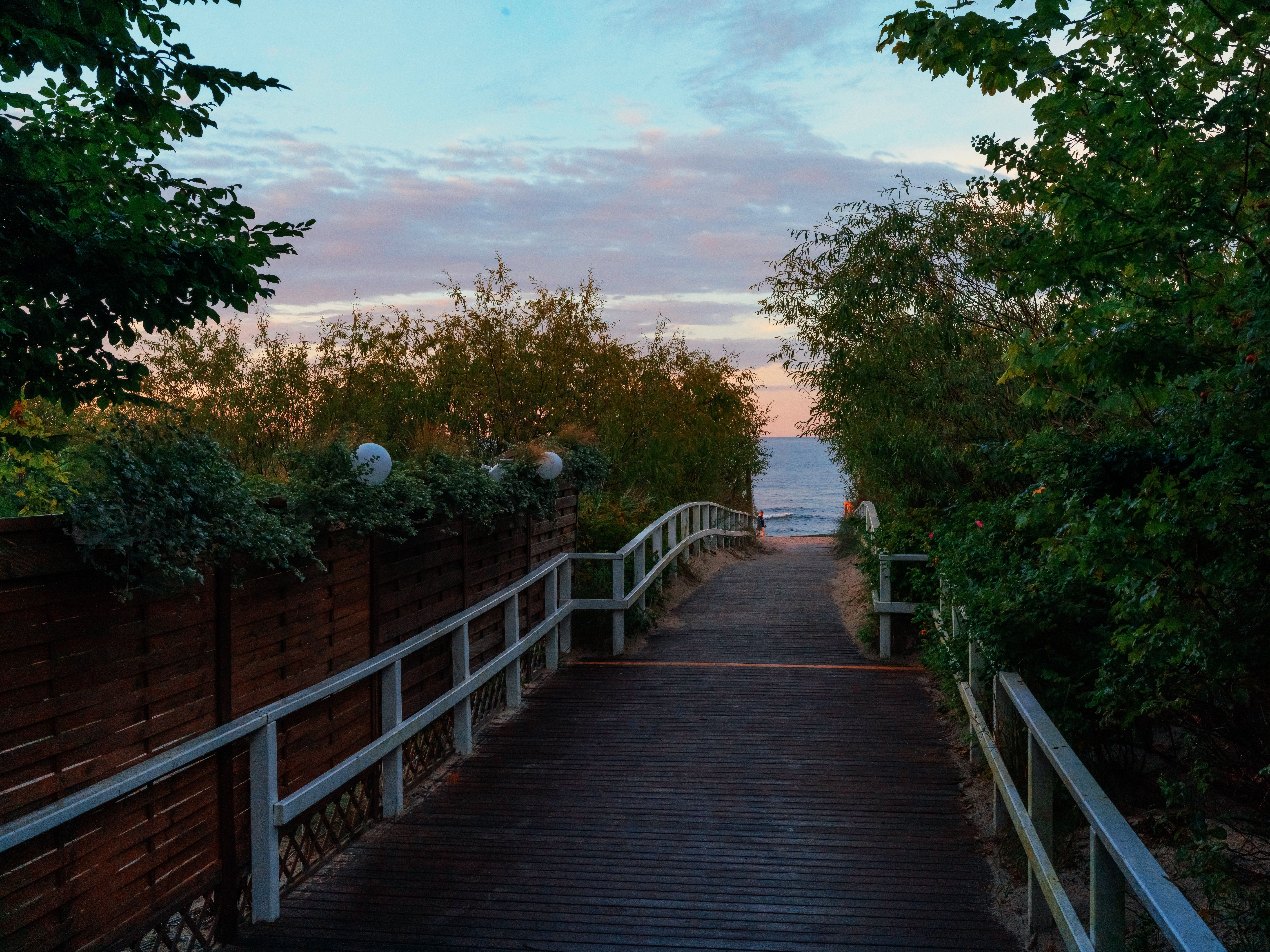 Fence and Decking Painting in Coombe — quality trade paint going on in two coats