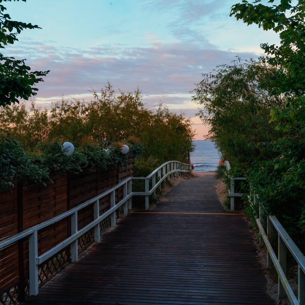 Fence and Decking Painting in Widmore — the finished result after a professional repaint
