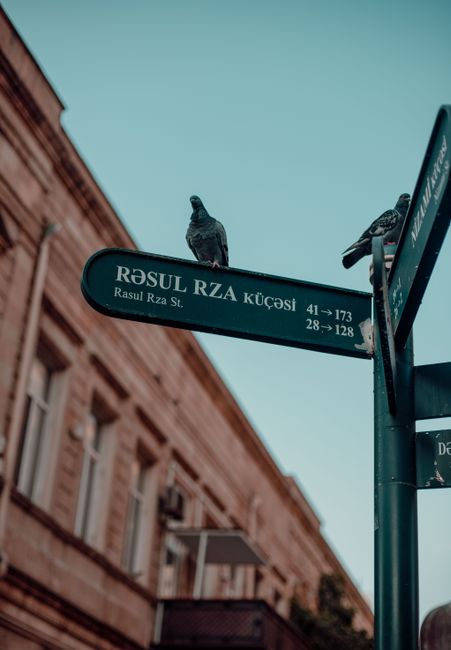 Street sign with pigeons perched on it in Baku, showcasing urban architecture under a clear sky.