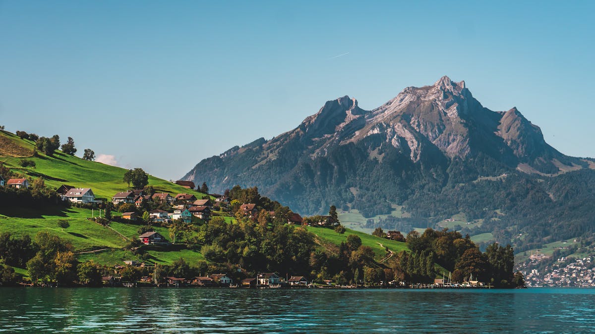 Green Trees and Green Trees Switzerland
