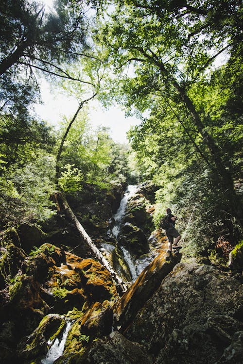 Waterfall and Rocks in Forest