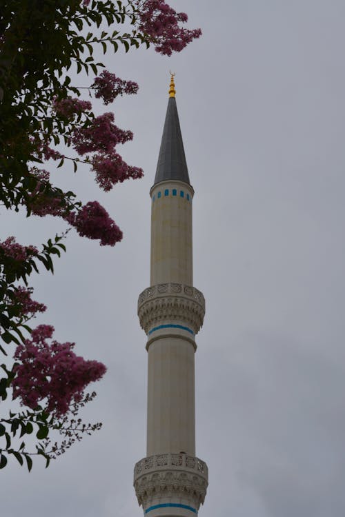 คลังภาพถ่ายฟรี ของ camii, การอธิษฐาน, มัสยิด