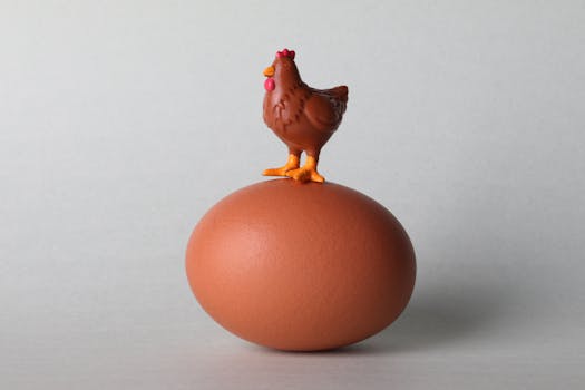 A whimsical setup of a plastic chicken figurine perched on a brown egg representing creativity and humor.