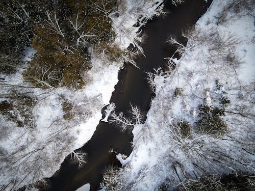 Top View of a River Flowing in a Snowy Forest