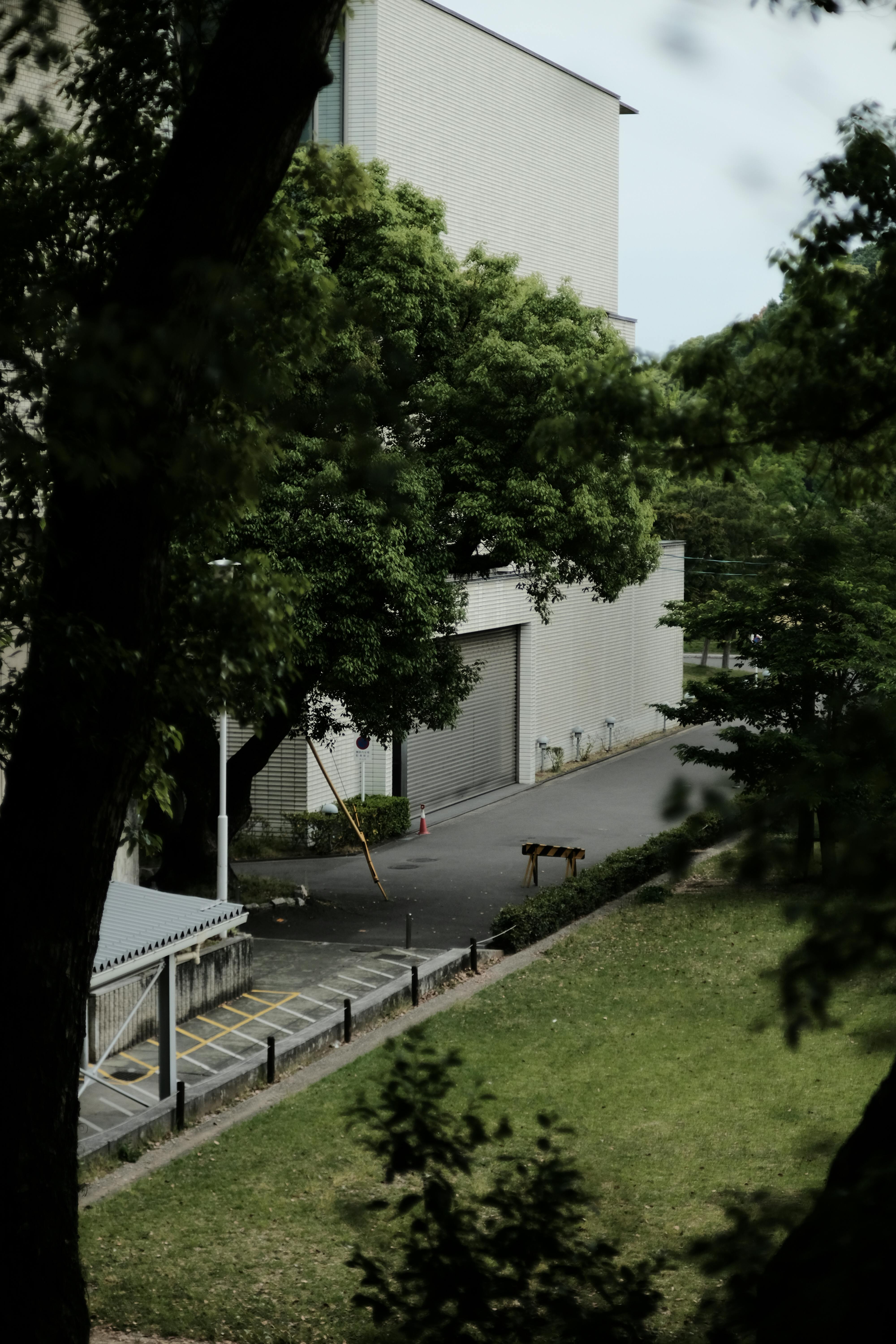 Rear of the Building with Large Roller Shutter Doors Seen Through the Trees · Free Stock Photo