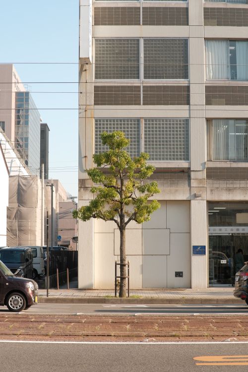 Modern Building Facade with Bare Tree Shadows · Free Stock Photo