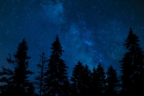 Free Silhouette of evergreen trees under a bright starry sky in Santa Fe, NM. Stock Photo