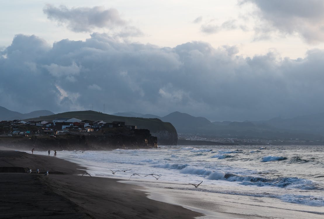 Waves by the Beach