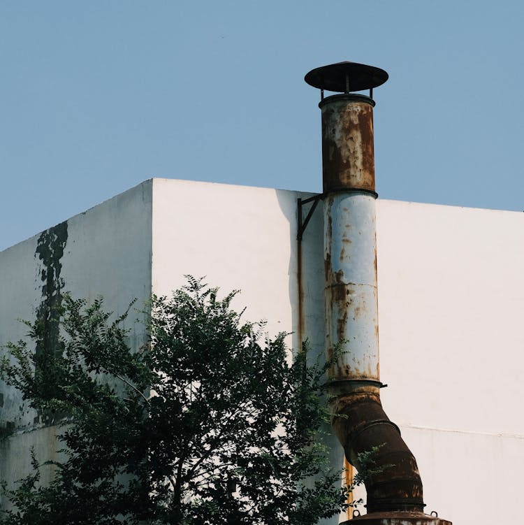 Rusty Pipe And Tree Near White Building Corner