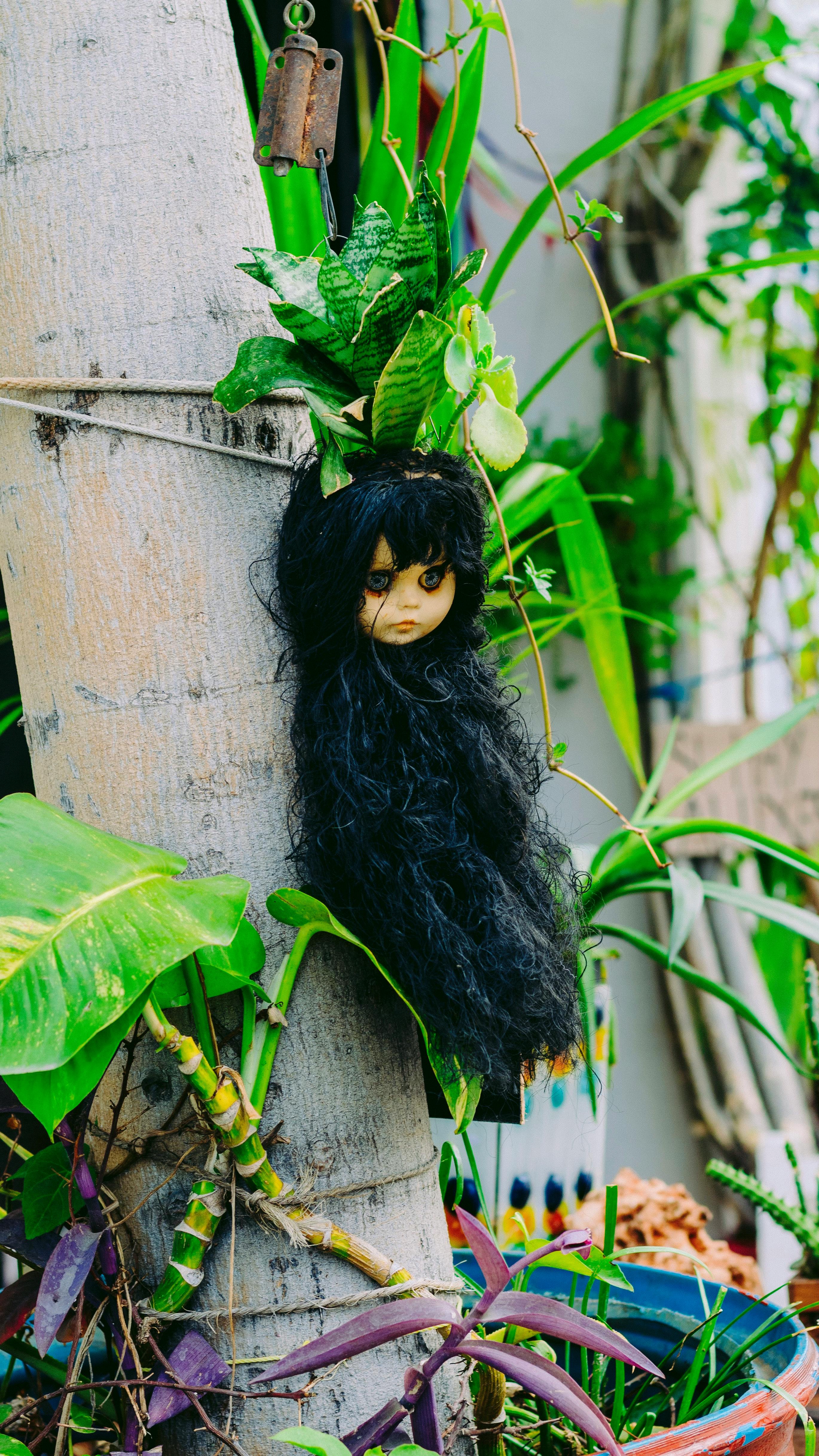 head of a doll tied to a tree trunk