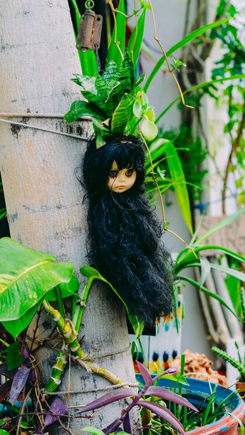 Free A spooky doll with long black hair tied to a tree trunk surrounded by various green plants. Stock Photo