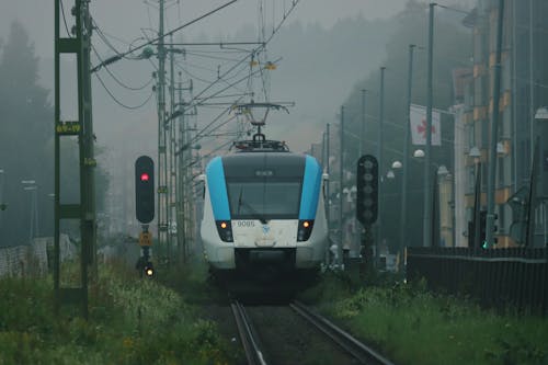 기차, 나무, 대중교통의 무료 스톡 사진