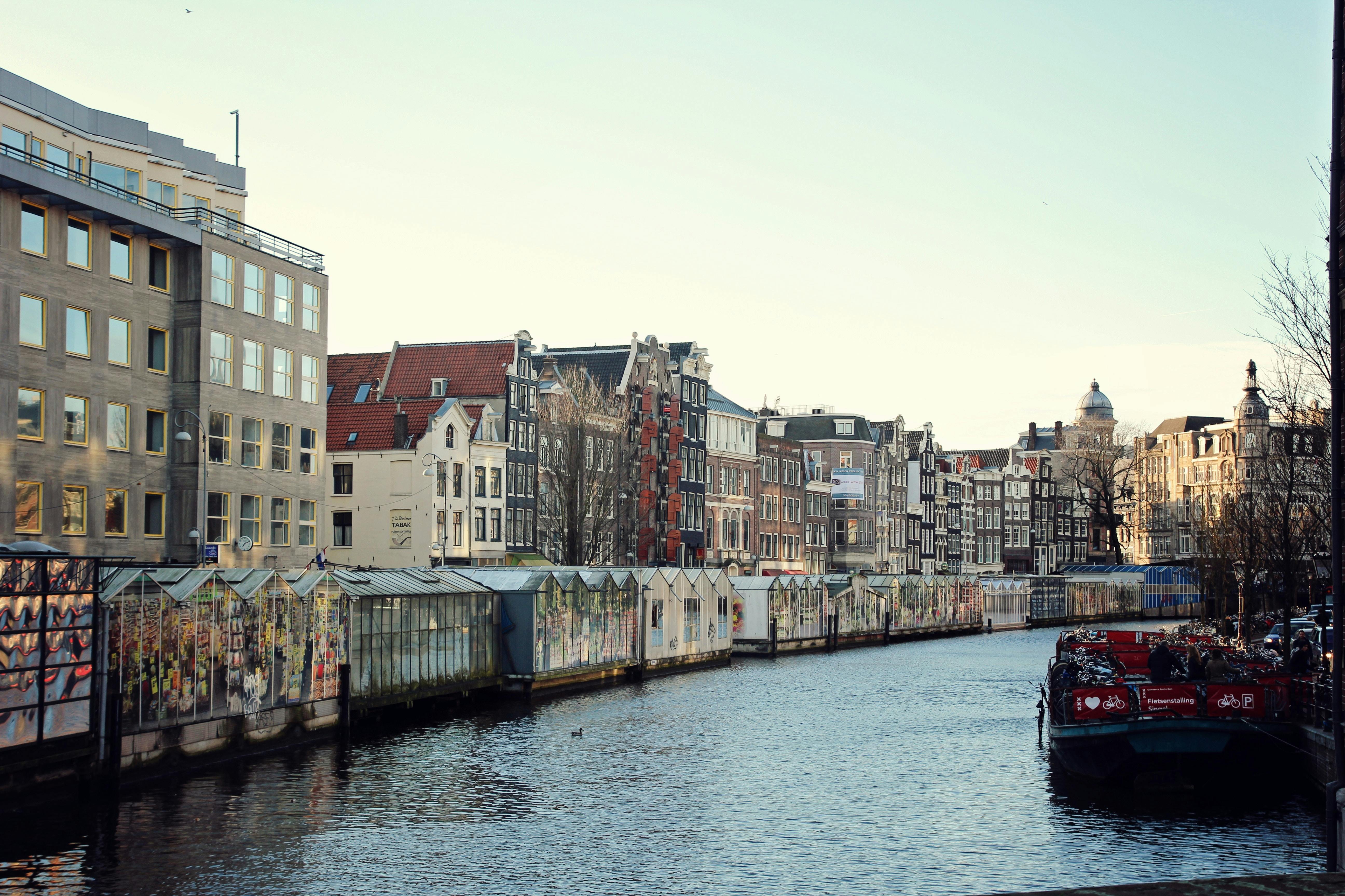 Free stock photo from · Pexels