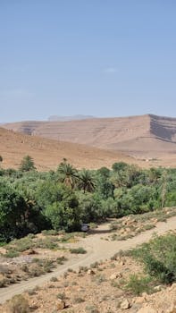 Beautiful view of the Drâa-Tafilalet region in Morocco with lush greenery and desert mountains.