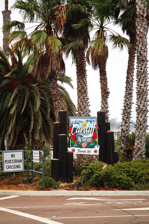 Free Welcome sign for Cardiff by the Sea surrounded by palm trees on a clear day. Stock Photo