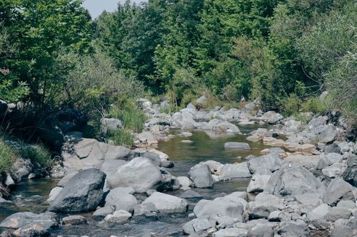 Free Peaceful river surrounded by lush greenery and rocks in Elazığ, Türkiye. Stock Photo
