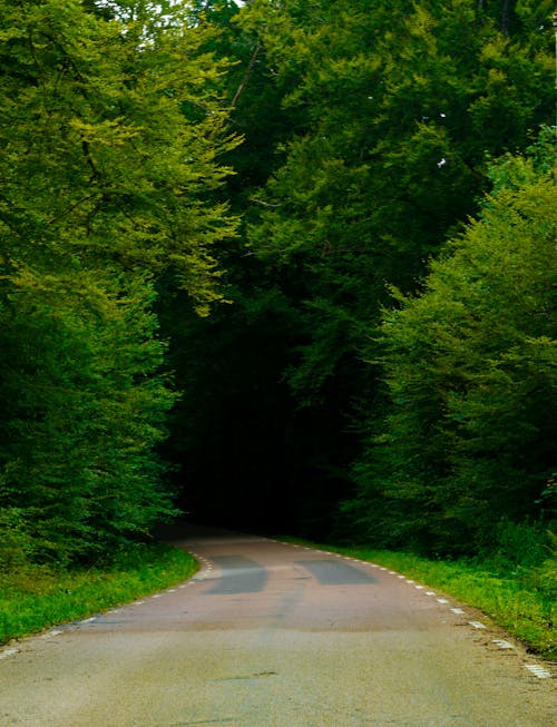 Photo of a Country Road 