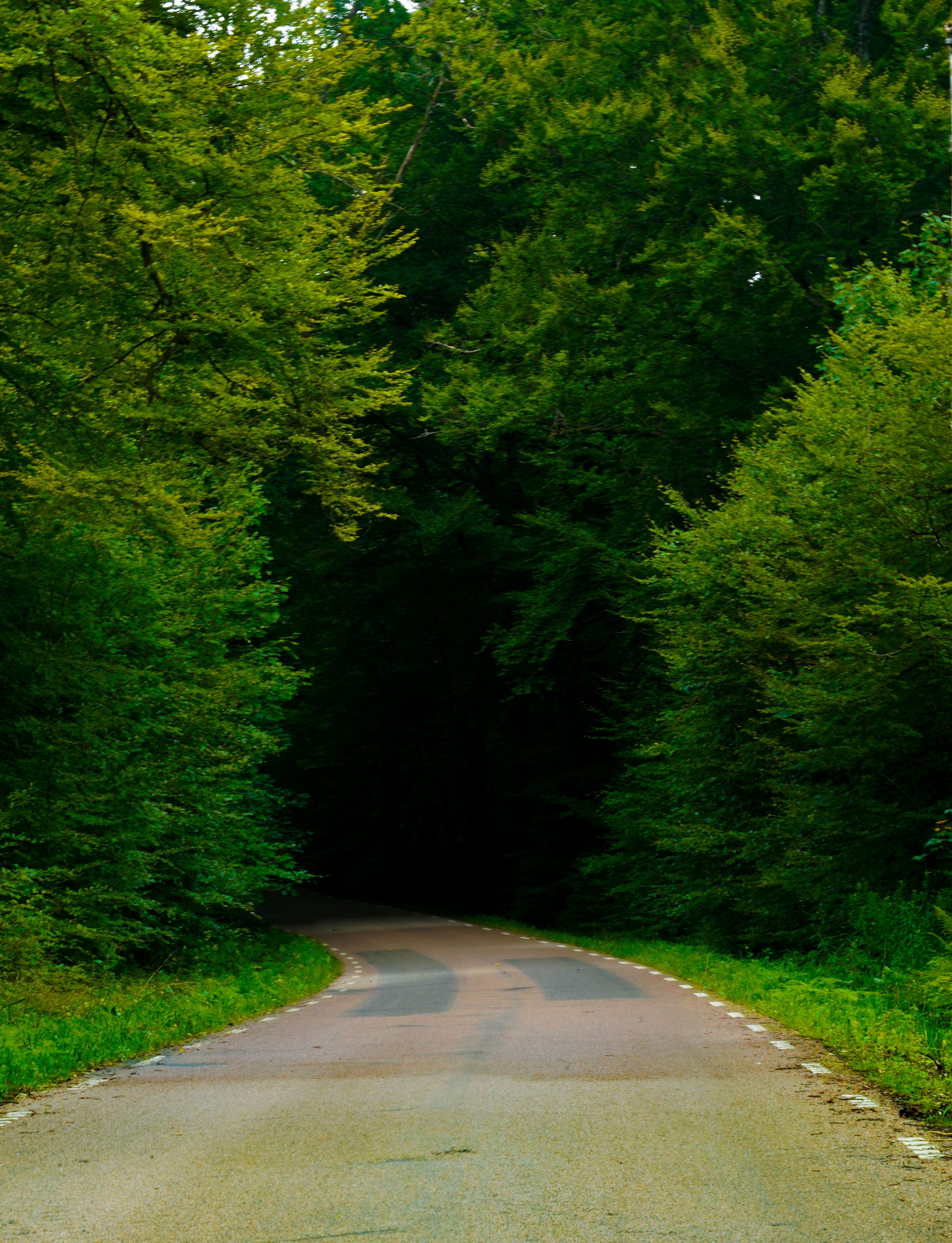 Photo of a Country Road · Free Stock Photo