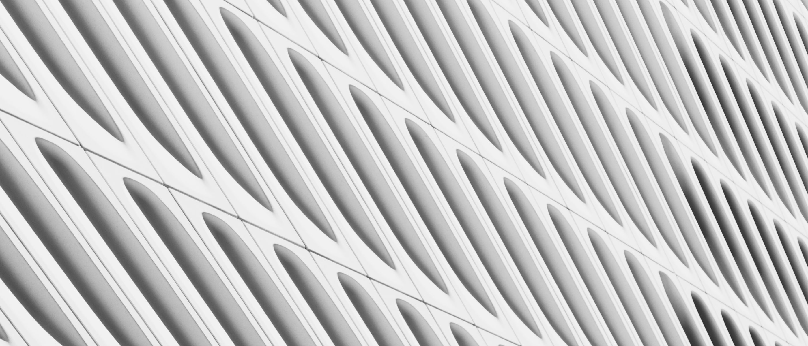 Wallpapering in Cann Hall — walls rolled to an even, flat finish