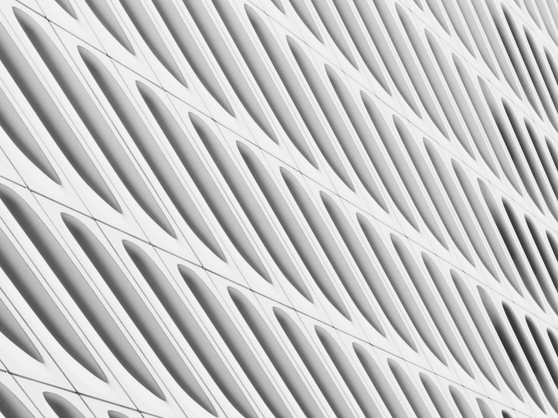 Wallpapering in Neasden — dust sheets down and the room fully protected