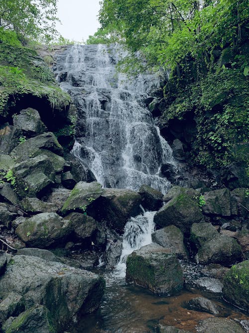 A Rocky Waterfall in the Forest 