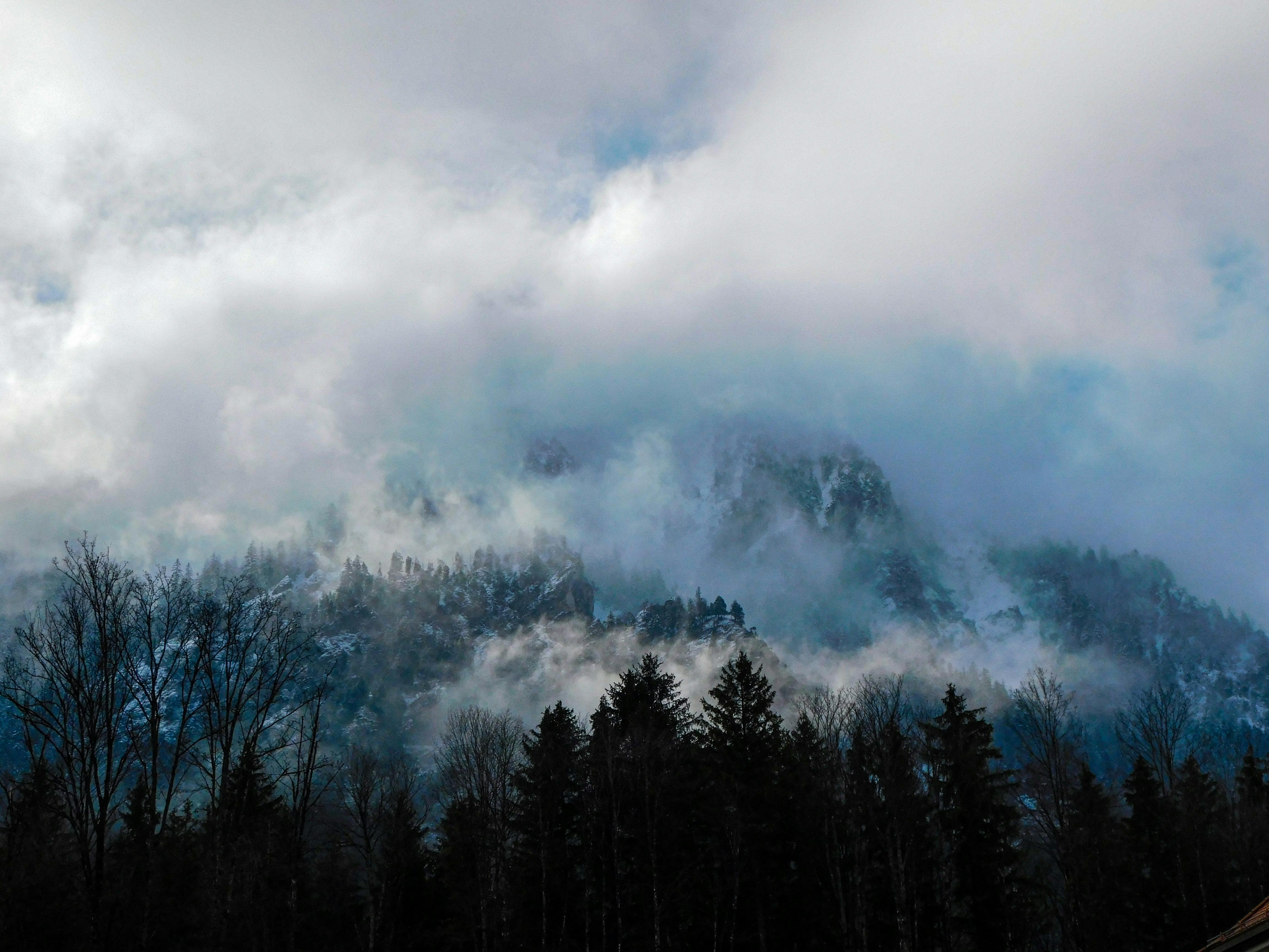 Download Foggy Mountain Slope iPhone Landscape Wallpaper  Wallpaperscom