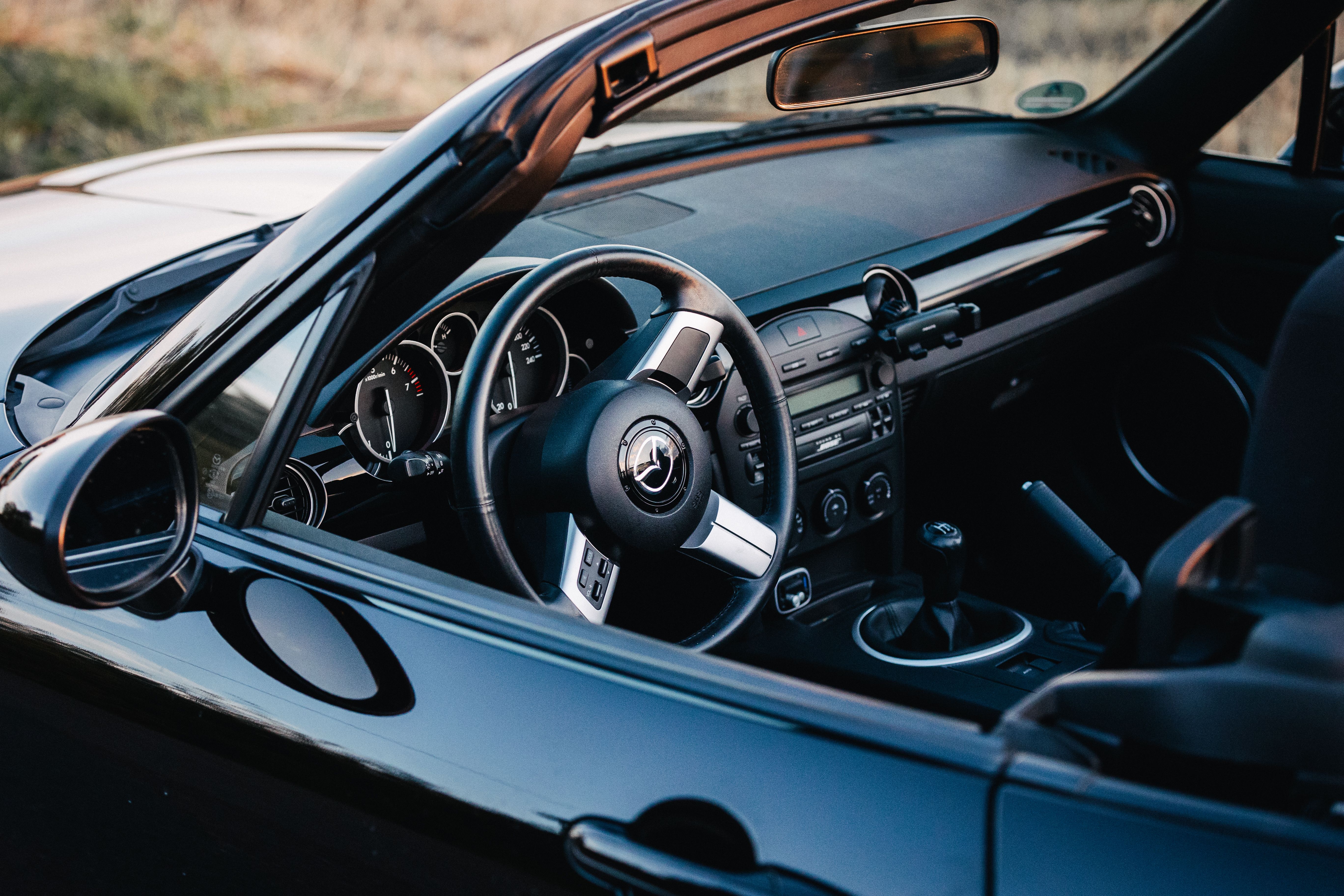 top rated car smell products