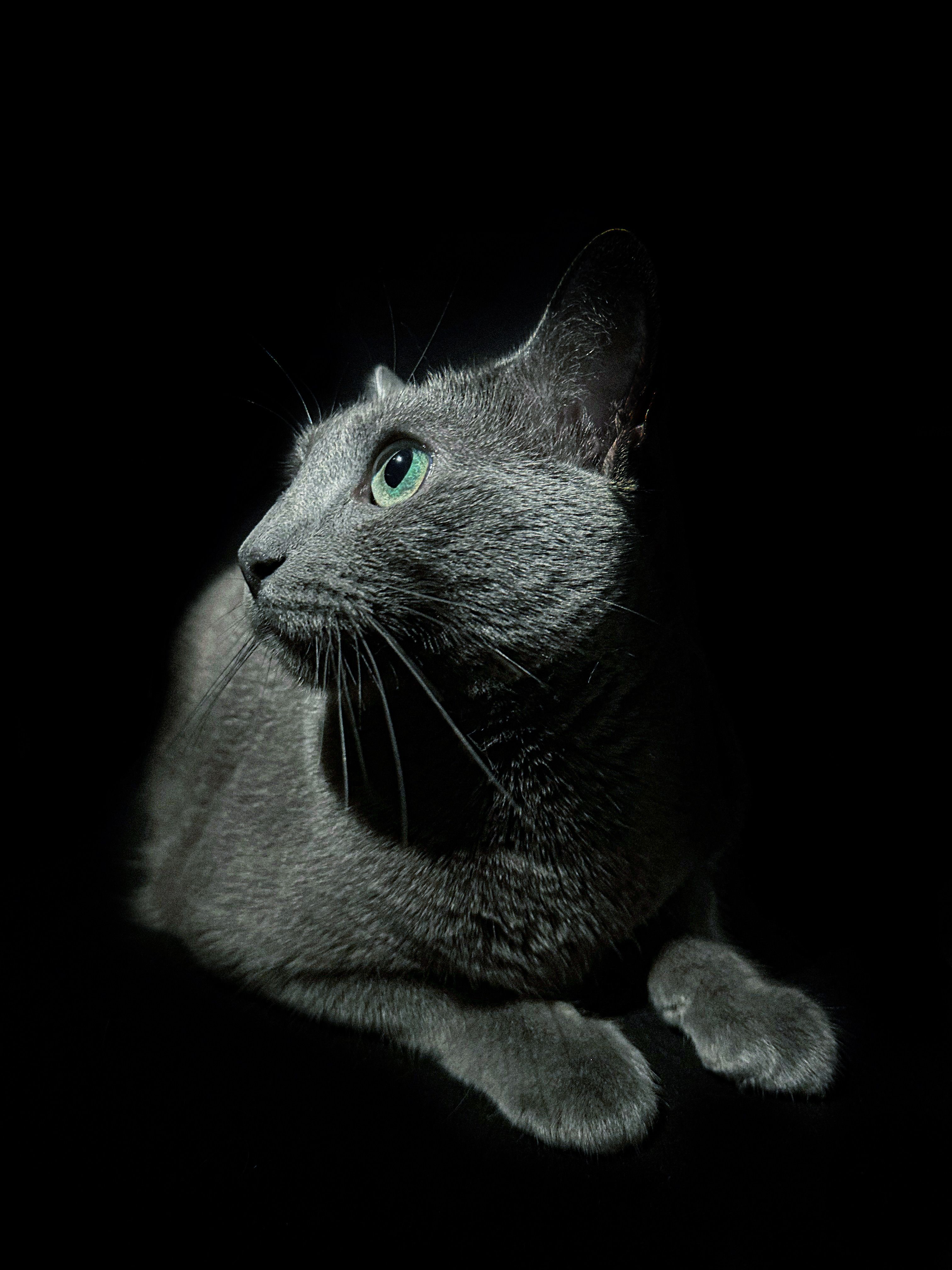 Photographie Darya - Tirage Numérique Nu Artistique - 15x21 Cm - 2022