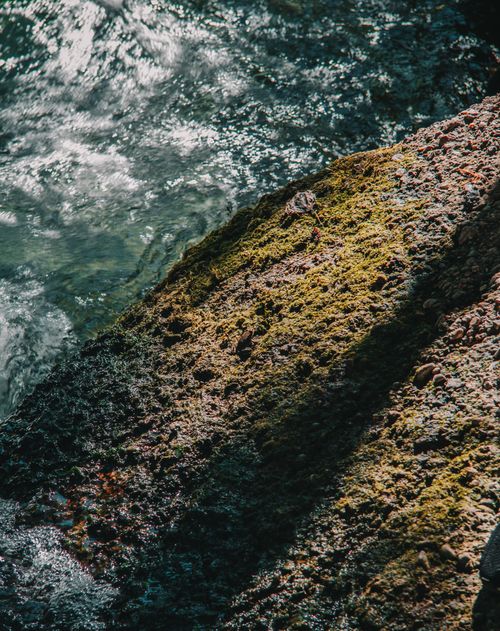 Free Sunlight illuminates a mossy rock on a rugged shoreline, waves gently crashing over. Stock Photo