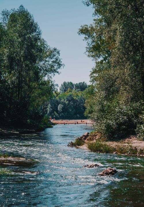 Free Serene river flowing through a lush, leafy landscape, perfect for a summer escape. Stock Photo