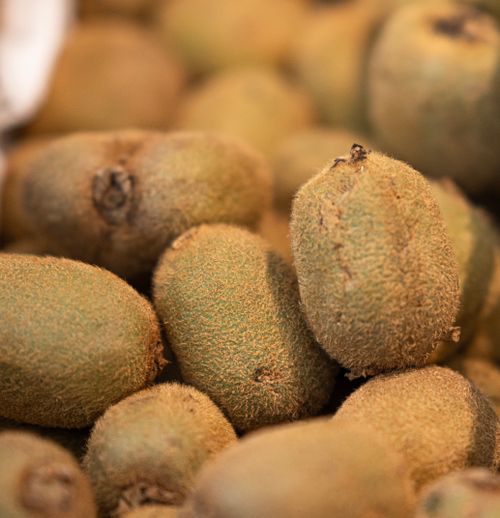 Free Close-up image of fresh kiwi fruits showcasing their fuzzy exterior texture. Stock Photo