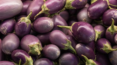 Close up of Eggplants