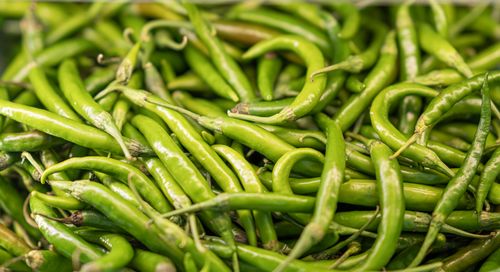 Free Vibrant fresh green chilies captured up-close, showcasing texture and color. Stock Photo