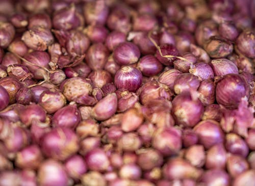 Close up of Purple Onions