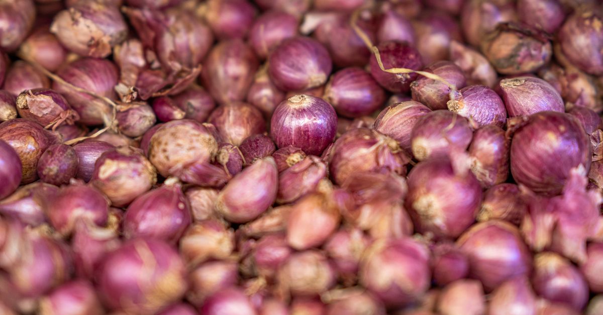 What Is Tor Onion Routing? A Clear Introduction