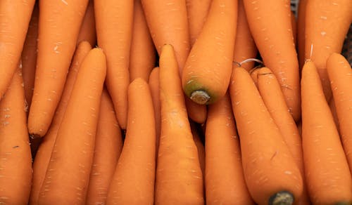 Close-up of Carrots 