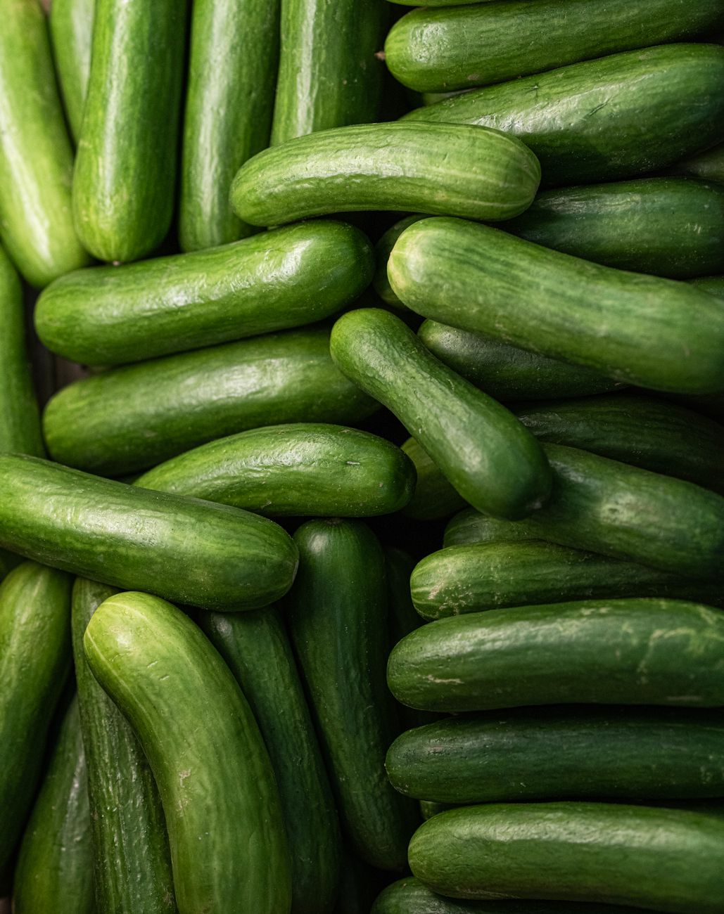 Green Cucumber Seeds