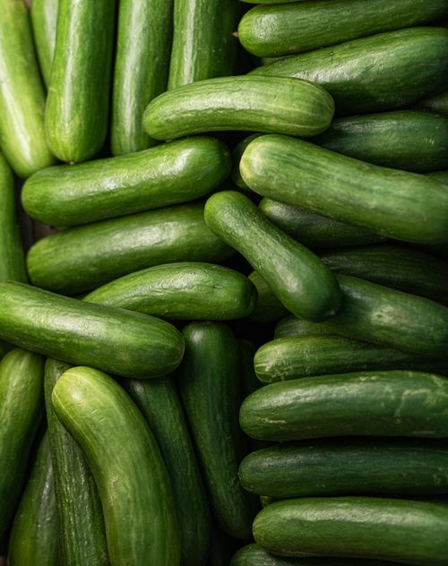 Free Close-up of fresh organic cucumbers showcasing vibrant greens, ideal for healthy eating. Stock Photo