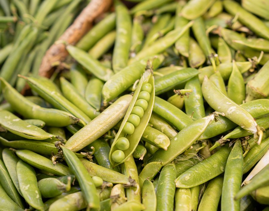 Fresh green pea pods