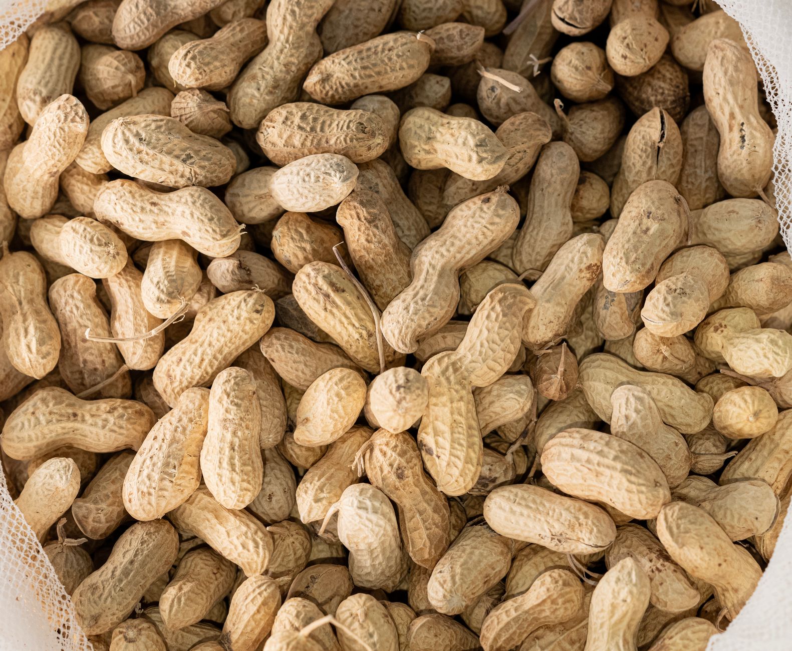 Un délicieux Mafé au bœuf halal servi chaud avec du riz parfumé