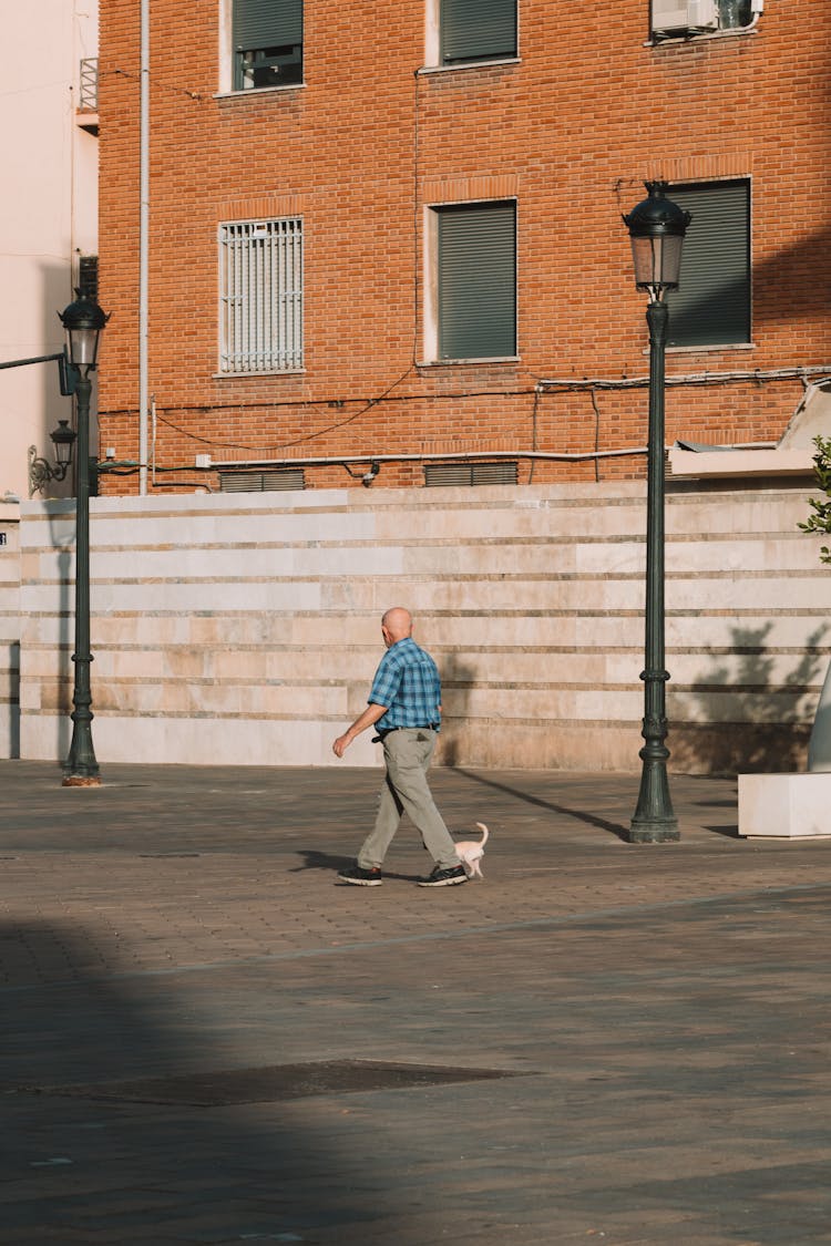 Old Man With Dog Walking On City Street