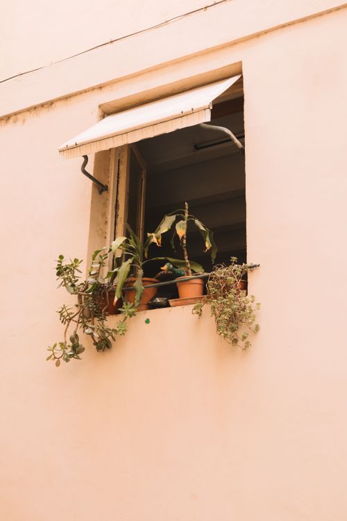 Free Aesthetic urban window with flowerpots and green plants on ledge, open shutter. Stock Photo