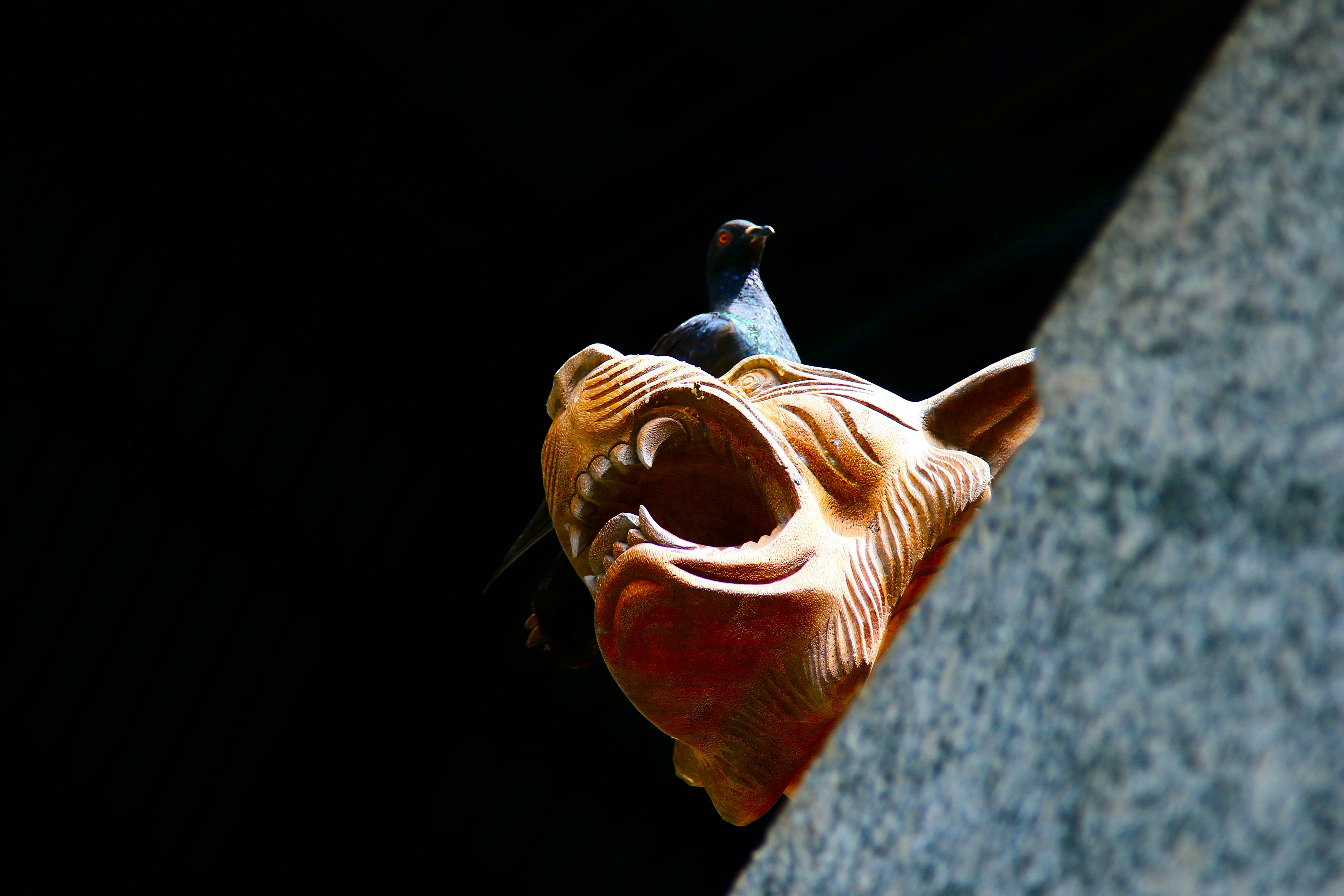 James Ranieri - Photography