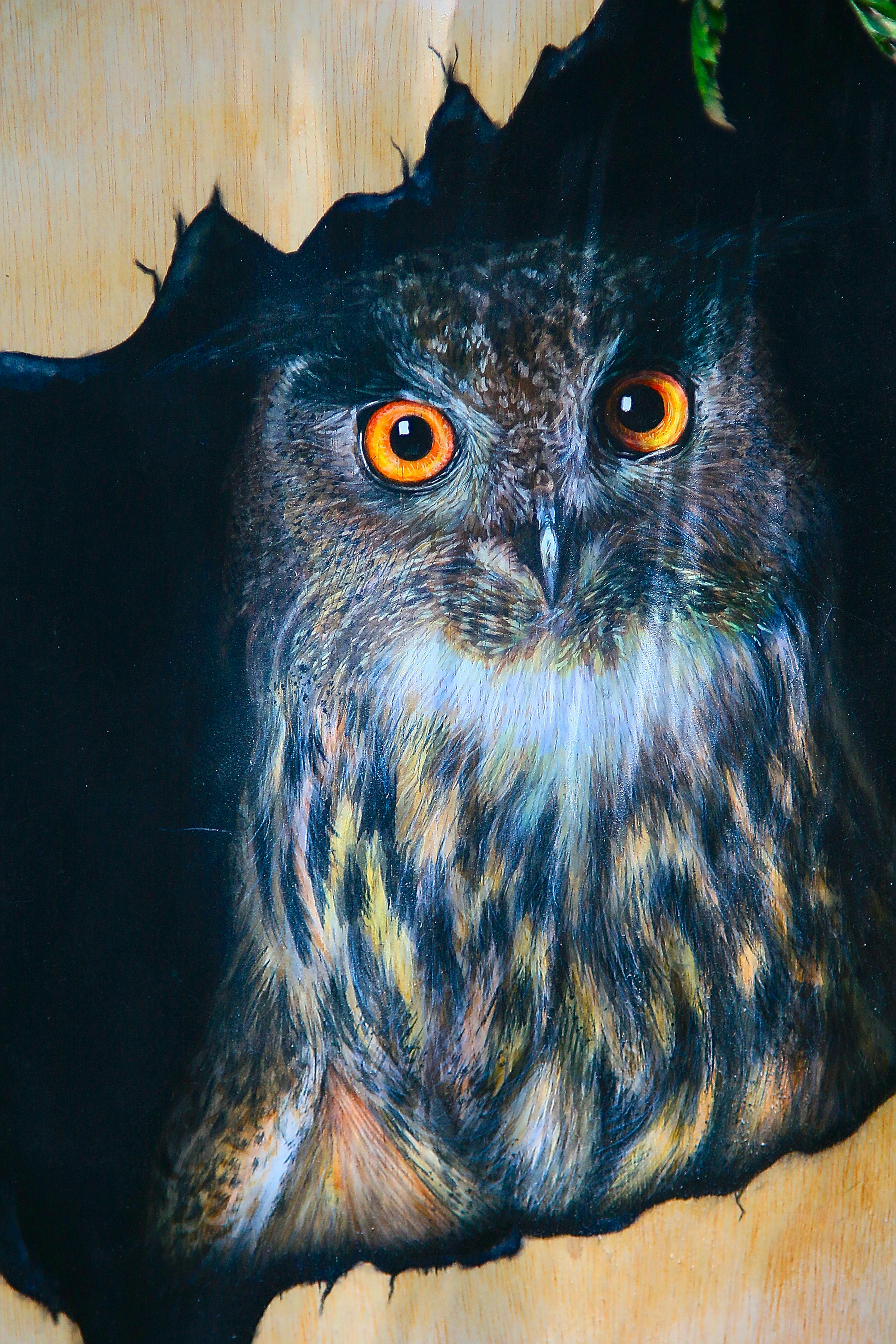 James Ranieri 写真